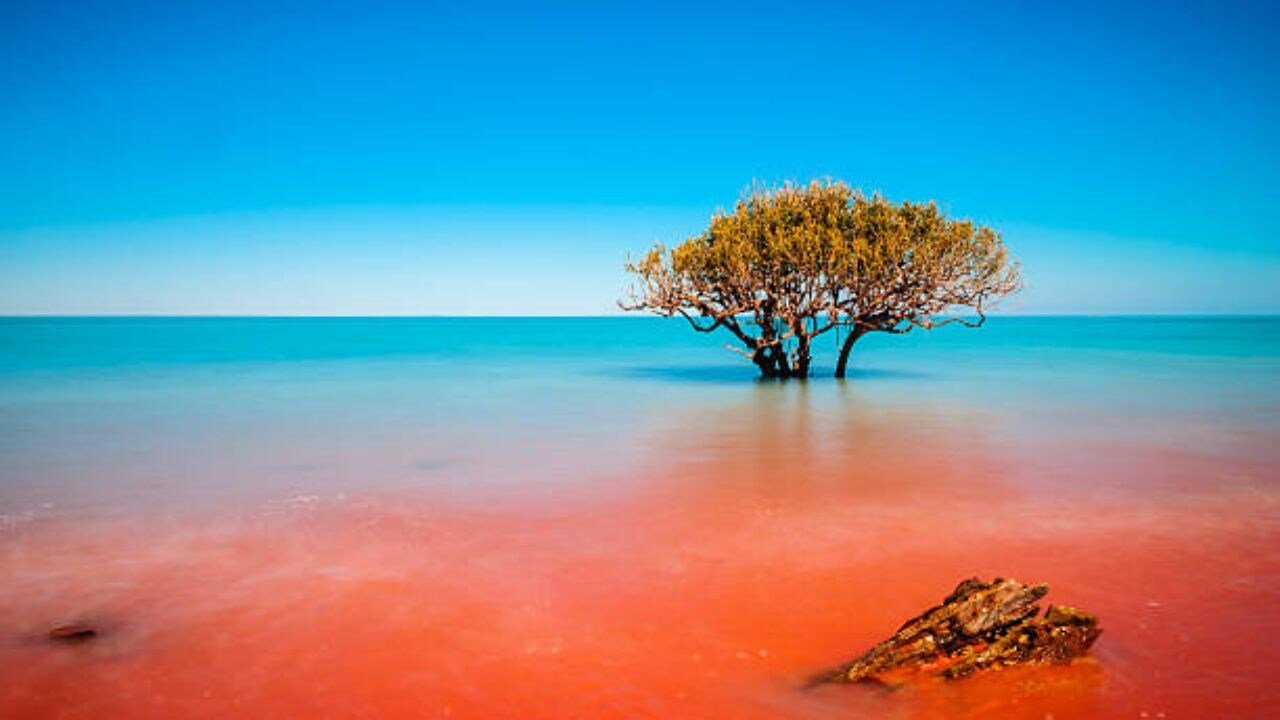 Virgin Australia Airlines Broome Office in Australia