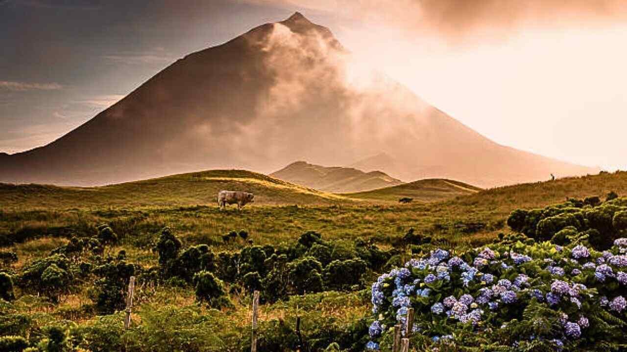 Azores Airlines Office in Pico Island, Portugal